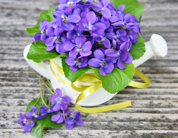 Veilchenblüten (Viola odorata)) - Foto, Bild