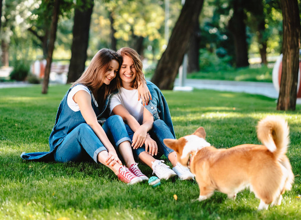 Two female friend in the park play with little dog - Photo, Image