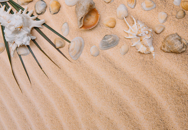 タオルのフレームと夏のアクセサリーと砂浜の平面図です。コピー領域と表示されている砂のテクスチャ背景タオルの左端 - 写真・画像
