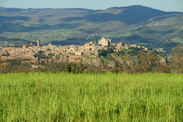 fantastic view of panorama of Orvieto town on tuff rock, Umbria, - Photo, Image