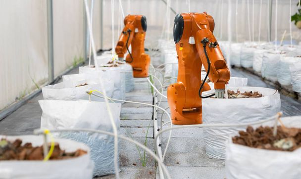 Robot de tecnología agrícola inspección automática del suelo granja eco plantas árboles orgánicos
 - Foto, Imagen