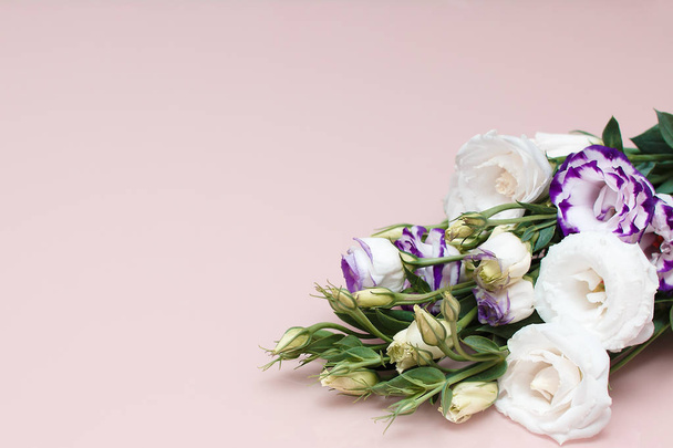 Fresh flowers frame on pink background. White and purple eustomas - Foto, Bild