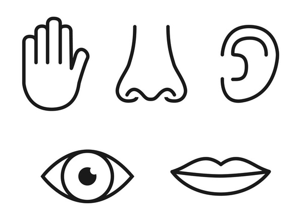Zarys zestaw ikon z pięciu zmysłów człowieka: widzenie (oczu), zapach (nos), słuchu (ucho), touch (ręka), smak (jamy ustnej z języka) - Wektor, obraz