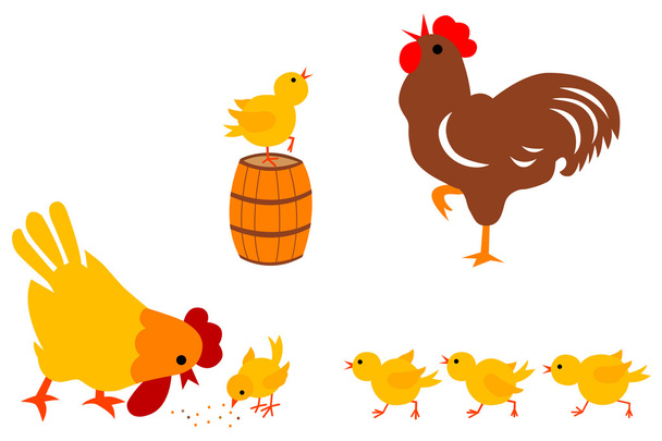 Familia de pollos
 - Vector, Imagen