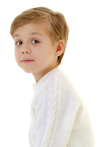 Portrait of a little boy close-up. - 写真・画像
