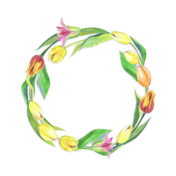 Watercolor flower wreath. Tulip wreath template isolated on white. Easter wreath template. - Fotografie, Obrázek