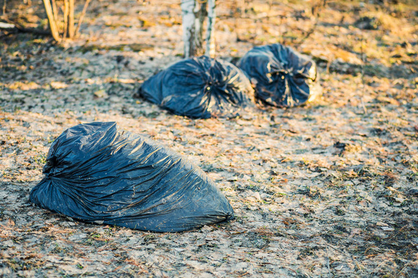 montones de bolsas de basura tiradas en el bosque
 . - Foto, imagen