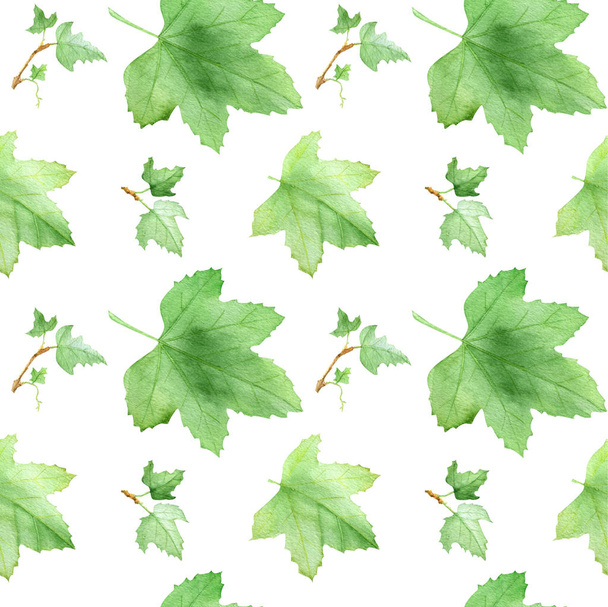 Currants leaf, pattern - 写真・画像