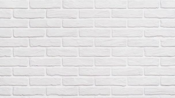 witte bakstenen muur achtergrond up down effect - Video
