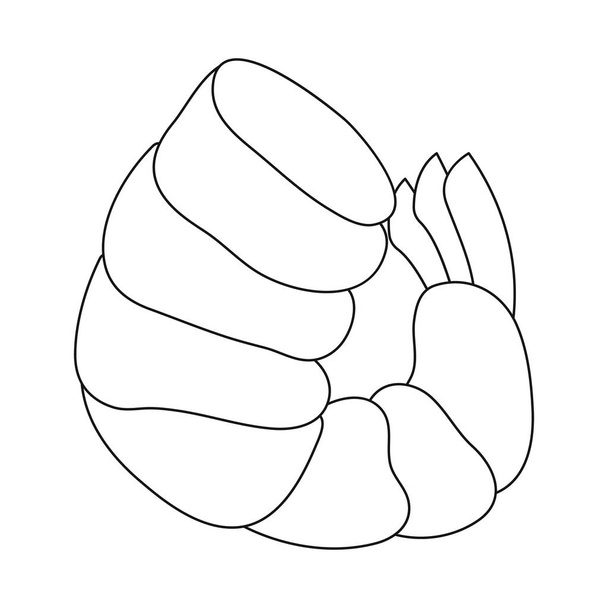 Vector illustration of prawn and raw  symbol. Collection of prawn and luxury stock symbol for web. - Vetor, Imagem