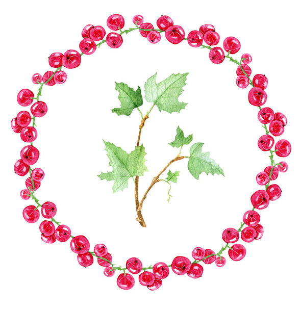Sweet summer berries - Valokuva, kuva