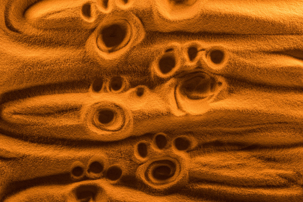 Pfotenspuren auf Sand mit Farbfilter und glatten Wellen - Foto, Bild