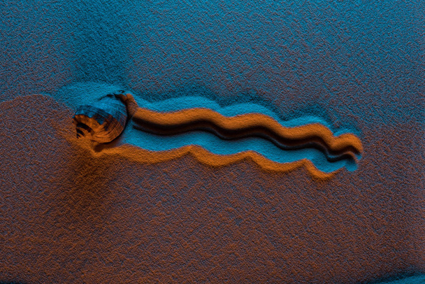 επάνω όψη του ίχνους κοχυλιών στην άμμο με φίλτρο χρώματος και χώρο αντιγραφής - Φωτογραφία, εικόνα
