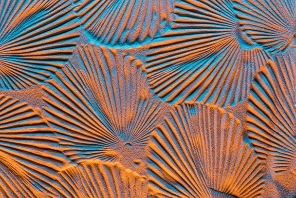 top view of textured backdrop with leaf prints on sand and color filter - Foto, Imagem