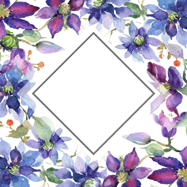 Clematis bouquet floral botanical flowers. Wild spring leaf wildflower isolated. Watercolor background illustration set. Watercolour drawing fashion aquarelle isolated. Frame border ornament square. - Fotoğraf, Görsel