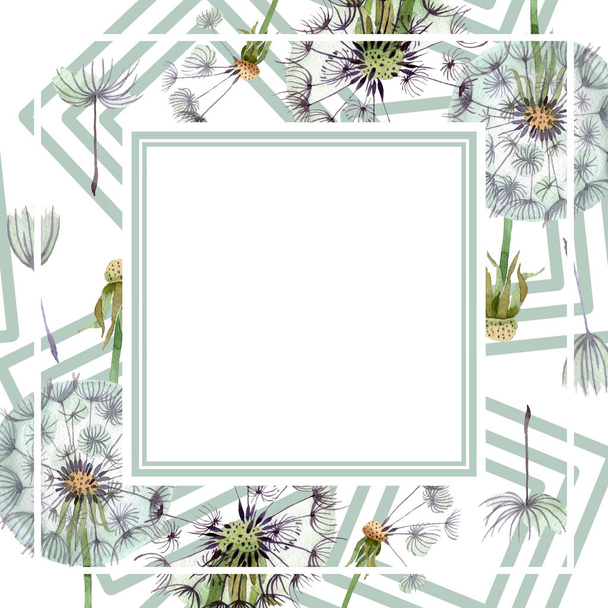 Dandelion blowball with seeds. Watercolor background illustration set. Watercolour drawing fashion aquarelle isolated. Frame border ornament square. - Фото, зображення