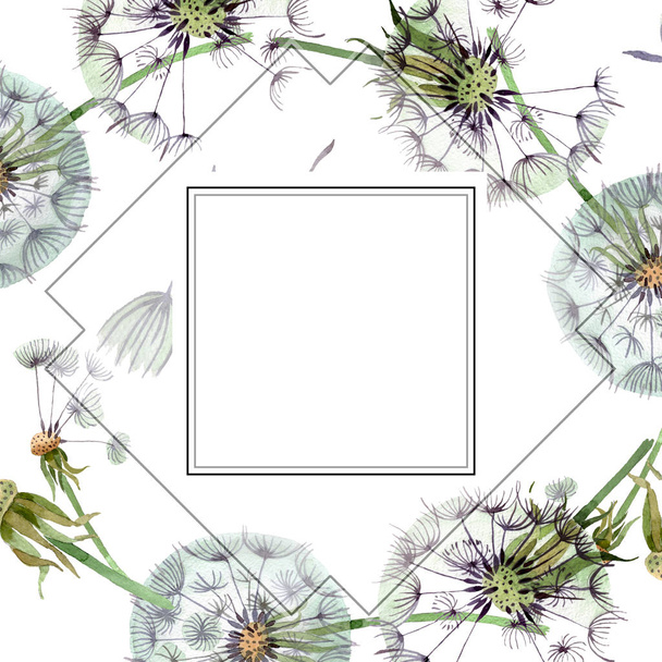 Dandelion blowball with seeds. Watercolor background illustration set. Watercolour drawing fashion aquarelle isolated. Frame border ornament square. - 写真・画像