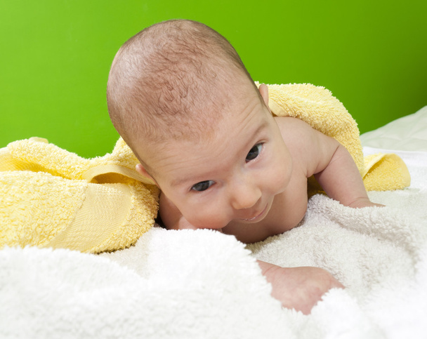 Bebé bettle
 - Foto, Imagem
