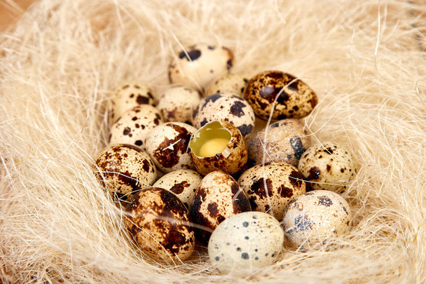Перепелиные пасхальные яйца в гнезде на деревянном фоне
.  - Фото, изображение