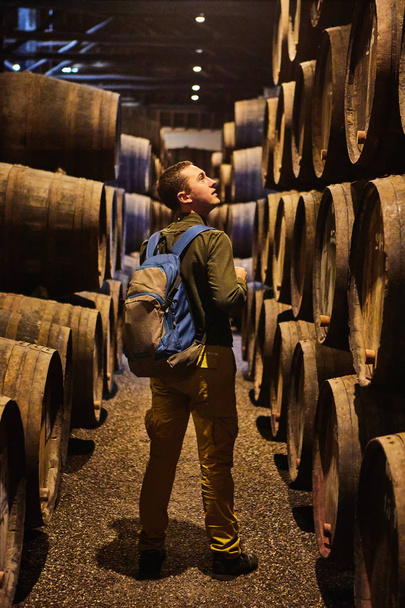 若い男の観光客は、イタリア、ポルト、ポルトガル、フランスのクールで暗いセラーに並んだ金庫にワインと古い高齢の伝統的な木製の樽で歩きます - 写真・画像