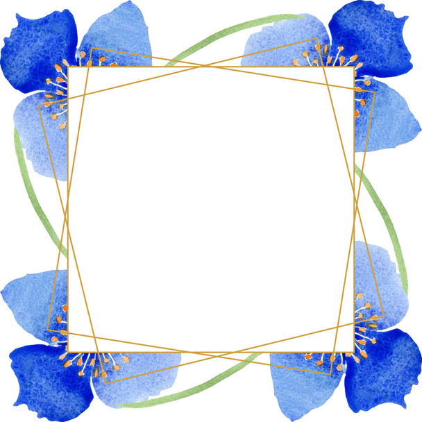 Blue poppy floral botanical flowers. Wild spring leaf wildflower isolated. Watercolor background illustration set. Watercolour drawing fashion aquarelle. Frame border ornament square. - Valokuva, kuva