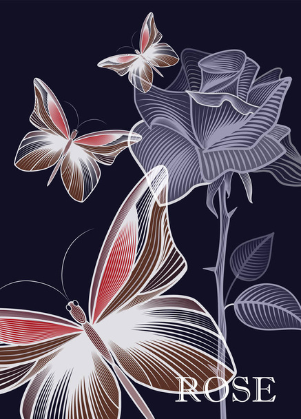 Контур нежной розы с бабочкой, нежная роза, наполненная штрихами
 - Вектор,изображение