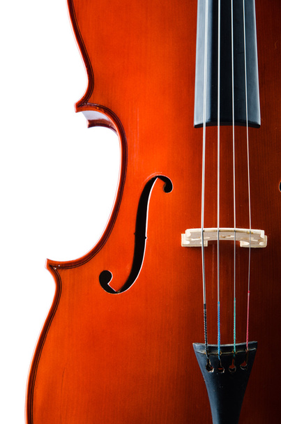 βιολί που απομονώνονται σε λευκό φόντο - Φωτογραφία, εικόνα
