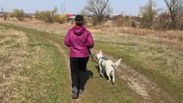 Frau läuft im Frühling mit weißem Mischlingshund auf einer Landstraße - Filmmaterial, Video