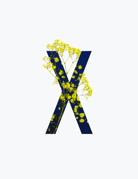 Kyrillinen kirje keltaisia luonnonvaraisia kukkia tummansininen tausta eristetty valkoinen
 - Valokuva, kuva