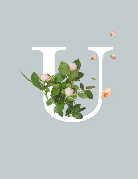 white letter U with roses and green leaves isolated on grey - Foto, Imagem
