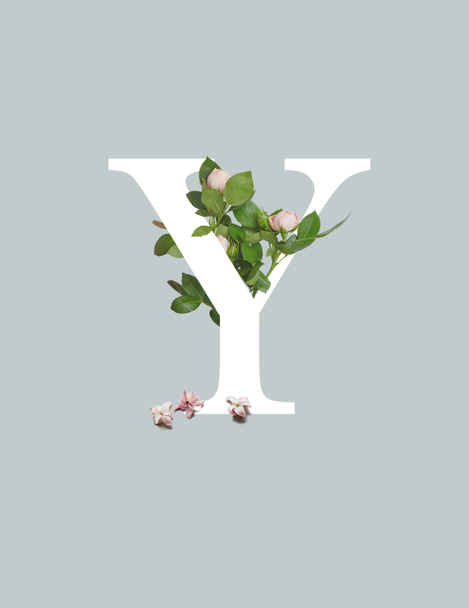 weißer Buchstabe y mit rosa Blüten und grünen Blättern isoliert auf grau - Foto, Bild