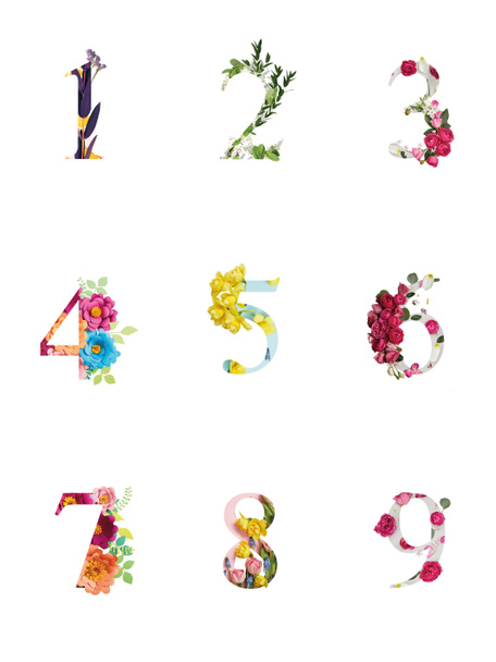 Números brillantes multicolores con plantas y flores aisladas en blanco
 - Foto, imagen