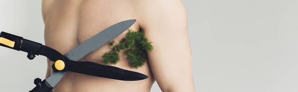 Panoramic shot of man with plant under armpit and big scissors isolated on grey - Fotografie, Obrázek