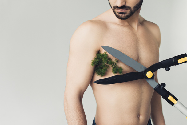 Cropped view of man with plant under armpit and big scissors isolated on grey - Zdjęcie, obraz