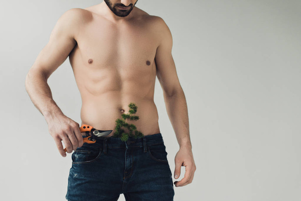 Gri izole secateurs tutan pantolon bitki ile sakallı gömleksiz adam Kısmi çekim - Fotoğraf, Görsel