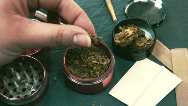 Marijuana weed in female hand. Broyeur et bourgeons de marijuana sur le fond
 - Séquence, vidéo