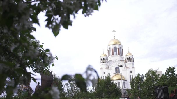 Close up for an apple tree branch with white flowers and the beautiful church behind it. Stock footage. The dome of the Orthodox church surrounded by blossoming apple trees. - Φωτογραφία, εικόνα