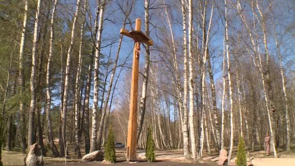 Puinen risti seisoo puiden keskellä sinisen taivaan taustalla
 - Materiaali, video