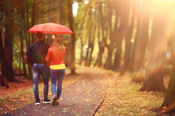 sun rays in the autumn park, a couple in love / young man and woman are walking, autumn view of the sunny park, the rays of the sun, warm autumn background - Foto, imagen