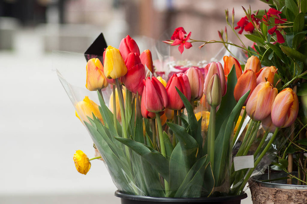 Крупный план букета красочных тюльпанов у флориста
 - Фото, изображение