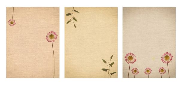 Conjunto de várias texturas de papel vintage antigo com plantas secas e flo
 - Foto, Imagem