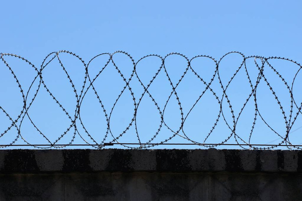 barbed wire on a gray concrete fence against a blue sky - Photo, Image