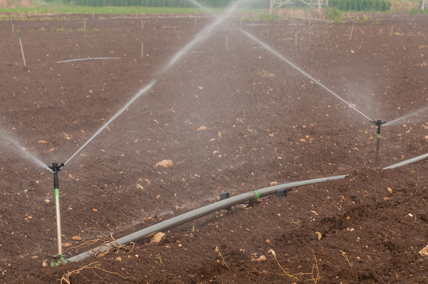 Irrigazione delle colture
 - Foto, immagini