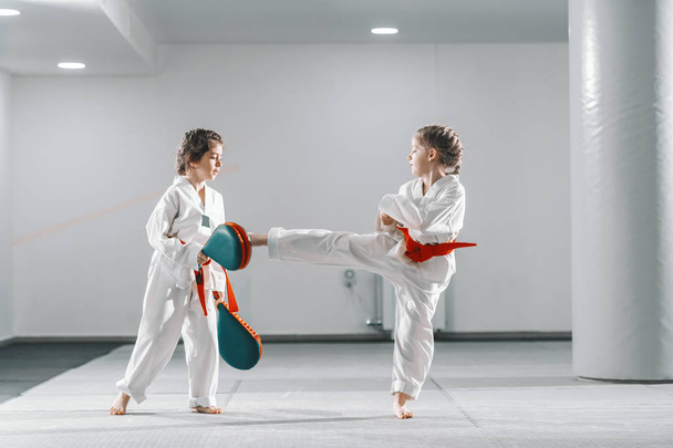 Dos chicas caucásicas jóvenes en doboks que tienen entrenamiento taekwondo en el gimnasio. Una chica pateando mientras otra sostiene el objetivo de patada
. - Foto, Imagen