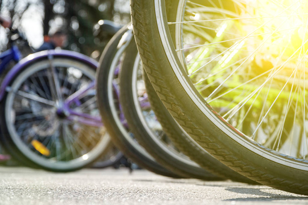 Rueda de bicicleta en una fila detalle rueda de primer plano, radio bicicleta
. - Foto, Imagen