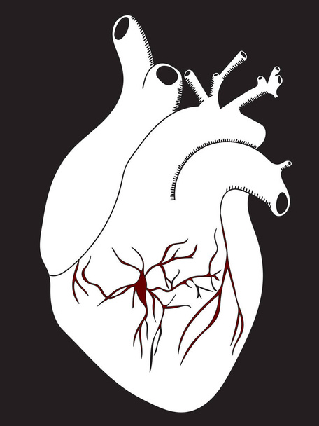 Illustration of hand drawn the black and white heart with red blood vessels - Vector, Image