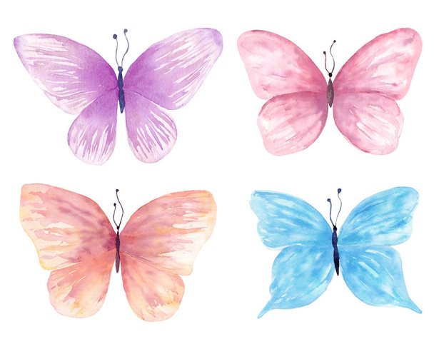 Watercolor butterfly set hand drawn painting. Can be used for greeting cards,wedding invitations,logo,T-shirts,bags,posters,printing on fabric,wallpaper,packaging. - Photo, Image