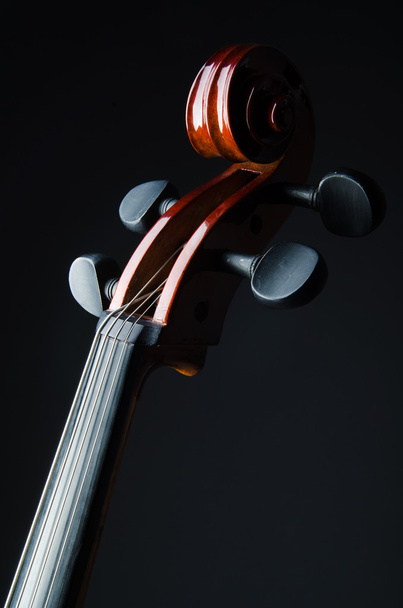 Violin on the black background - Фото, зображення