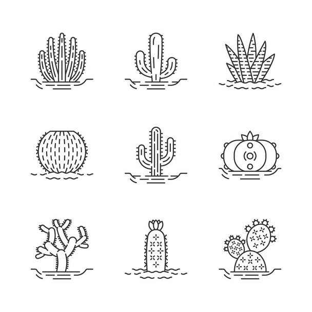 Wild cactuses on ground linear icons set. Mexican tropical flora. Succulents. Spiny plants. Cacti collection. Thin line contour symbols. Isolated vector outline illustrations. Editable stroke - Wektor, obraz