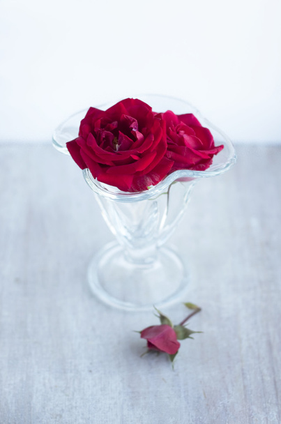 cacho de rosas vermelhas no vidro
 - Foto, Imagem